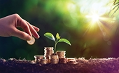 Roadmap for Viet Nam’s carbon exchange