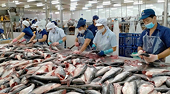 Seafood exports seek growth opportunities from new markets
