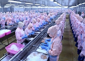 Maintaining import and export activity amidst global market fluctuations