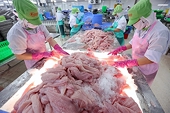 Fisheries sector proactively adjusts to emerging challenges