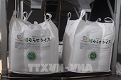 Green exports: The new rules of the game in global trade