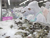 Viet Nam and US set to ease seafood trade regulation