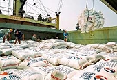 Trade ministry issues decree on strengthening rice production and exports