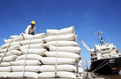Vietnamese rice sharply expands market share in Senegal