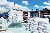 Senegal emerges as a promising hub for Vietnamese rice exports in West Africa