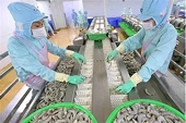 Seafood exports: Expanding markets, adapting to geopolitical changes