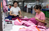 Businesses pivot strategies to sustain export growth momentum