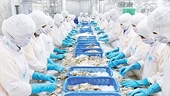 Maintaining export growth momentum