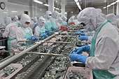 The economy in the first quarter of 2026 showed many clear positive signs