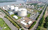 Asian LNG imports fell sharply, the biggest drop since 2022