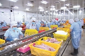 Seafood exports: Diversifying markets to minimize risks