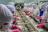 Higher requirements on agro exports to the EU