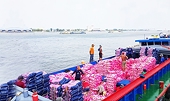 Is Vietnamese rice 'abandoning' the 0% tariff market?