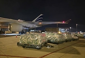 Maintaining the flow of Vietnamese agricultural exports to the Middle East through air transport