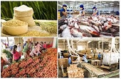 Statistics on safeguard case against imports conducted by Vietnam up to 31 Dec 2025.