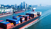 Statistics on anti-dumping cases against Vietnam's exports in the other foreign market up to 31 Dec 2025