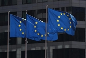 Statistics of anti-dumping, anti-subsidy and safeguard investigations conducted by the EU in 2021