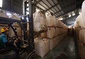 Viet Nam's roasted coffee exports to Thailand rise as demand shifts to premium brews
