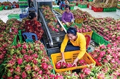 Proactive planning for fruit and vegetable exports