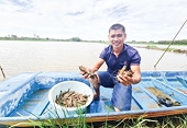 Efforts to boost exports of agricultural, forestry, and aquatic products
