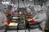 US releases preliminary anti-dumping review results on Vietnamese shrimp