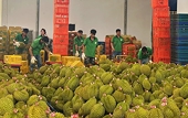 Adapting to export regulations to China