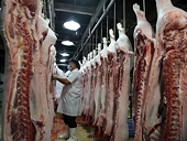 Viet Nam exports meat to 25 markets