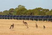 Solar projects to be hit by big increase in costs due to new Australian anti-dumping decision