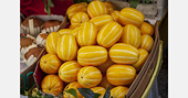 Viet Nam extends import window for South Korean chamoe melons