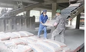 Viet Nam plans tax incentives to boost mineral processing industry