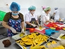 Expanding export markets in the era of integration