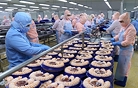 Rising global shipping costs put pressure on Viet Nam’s seafood exporters