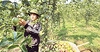 “Green lane” opened for fruit and vegetable exports to China