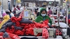Bangladesh loses second spot to Viet Nam in global garment exports: Ex-BGMEA president